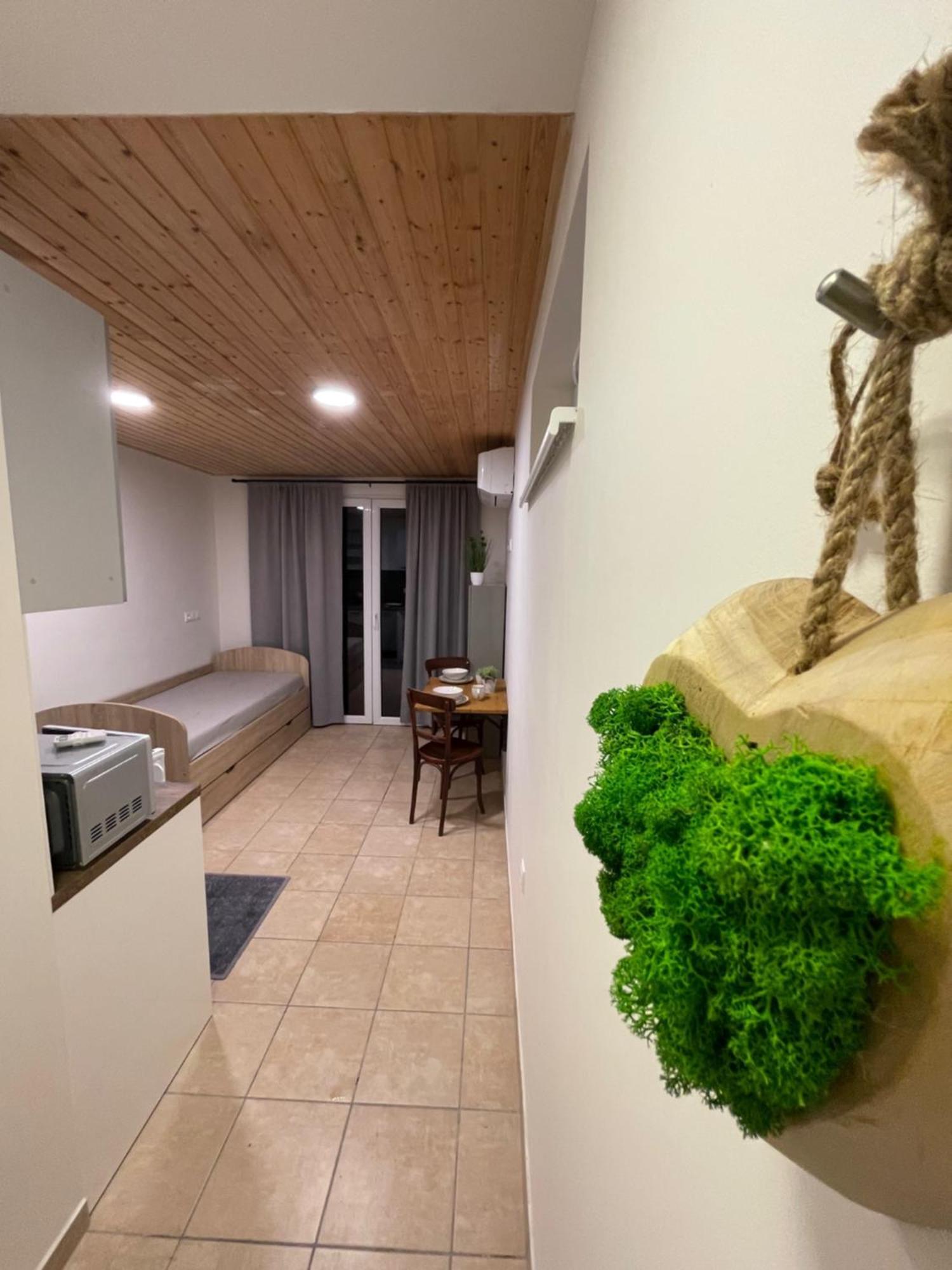 Apartman Mini Stupava Buitenkant foto